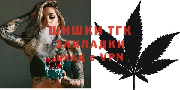 винт Дмитриев