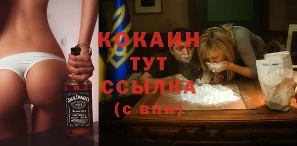 винт Дмитриев