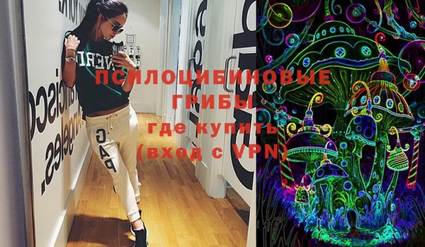 винт Дмитриев