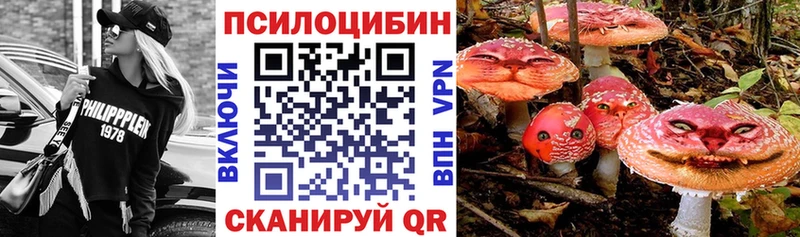 Купить закладки  Щёкино  Галлюциногенные грибы мицелий 